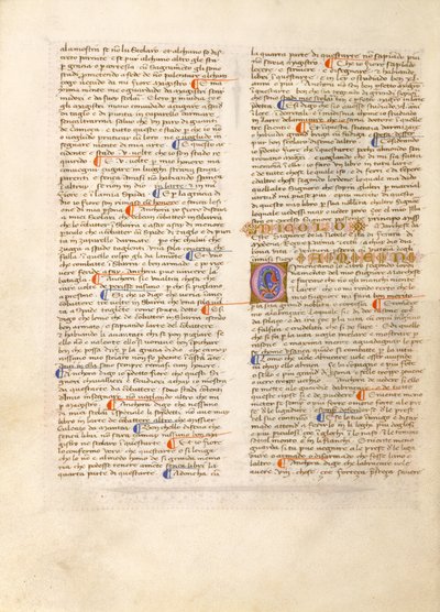Fiore dei Liberi - Fiore dei Liberi